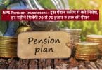 NPS Pension Investment